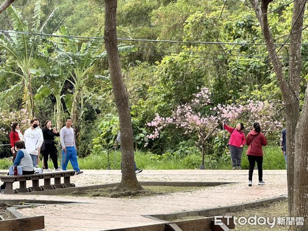 ▲台南山上花園水道博物館在228連假迎來爆發性人潮，櫻花滿開、天氣晴朗，3天內來客數突破萬人超越春節。（圖／記者林東良翻攝，下同）