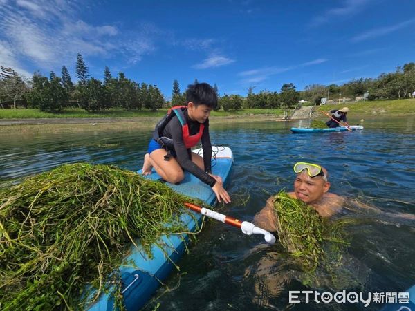 ▲台東縣水中運動訓練協會清理活水湖過長水草。（圖／記者楊漢聲翻攝）