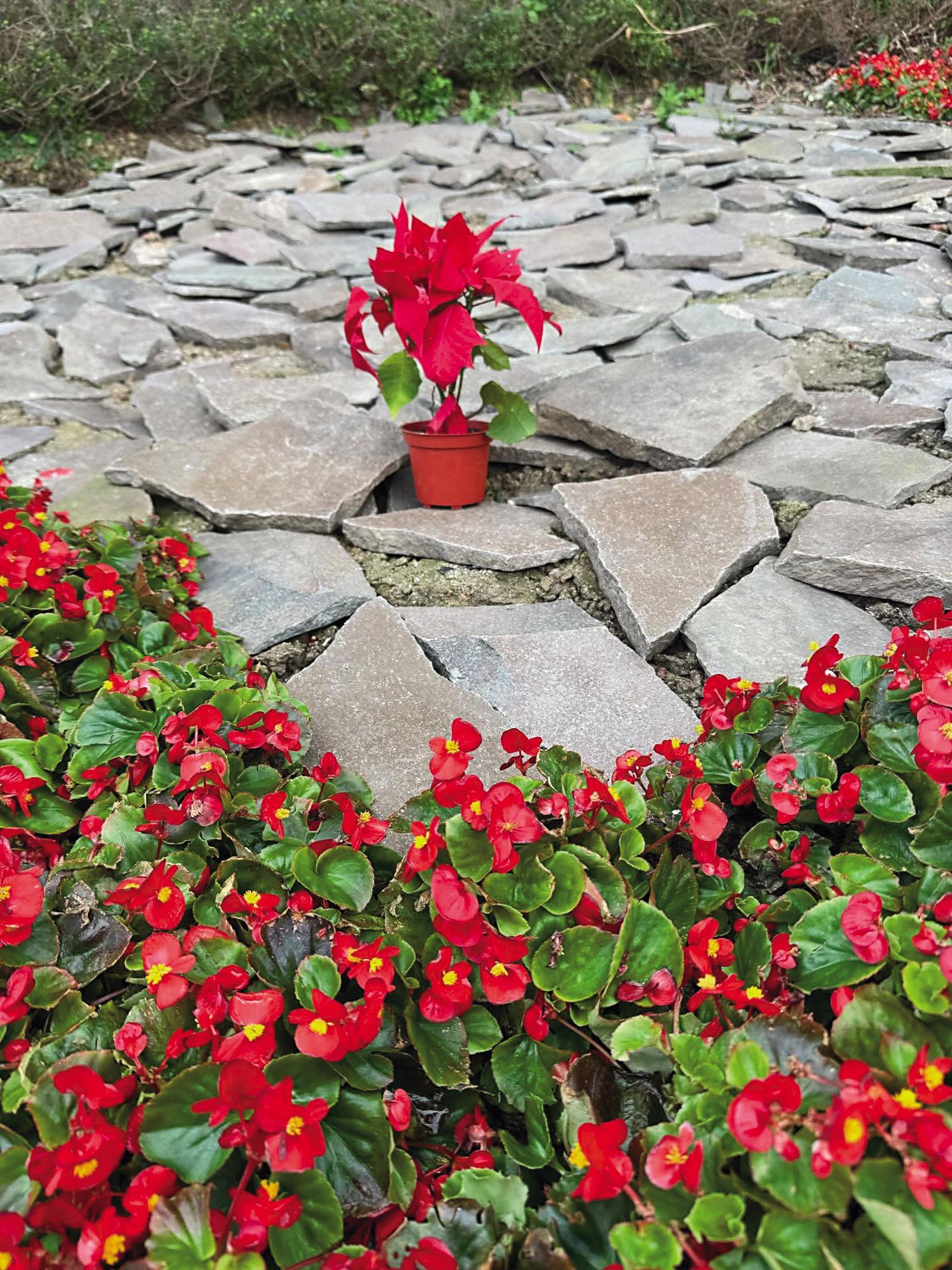 少女母親透露，麥當勞曾派員提水果禮盒登門慰問，她還稱因經濟不好，沒有香、也沒有牌位，女兒將花葬。（翻攝Threads）