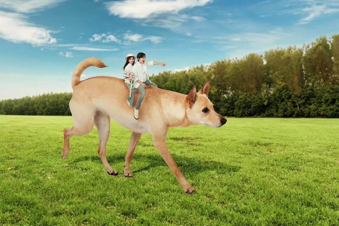 ▲孫協志、夏宇童登記結婚。（圖／翻攝自Facebook）