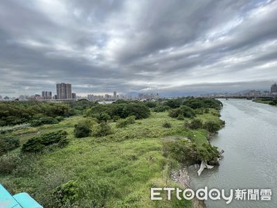 直擊台北市中心「神秘小島」 阿伯10萬買5百坪地圓小農夢