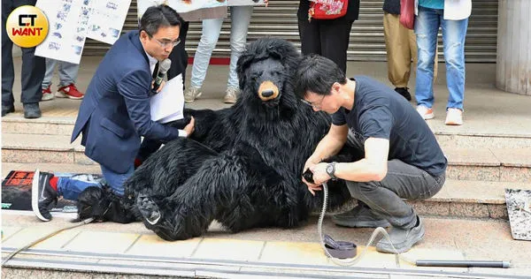 多個動保團體2024年4月召開「阻止殘忍獵具」記者會，台灣動物共生聯盟發言人柯元傑（右）就在行動劇中示範為台灣黑熊人偶解開「改良式獵具」，直言這些「獵捕」器材無論再怎麼改良，都會殘害無辜動物。（圖／方萬民攝）