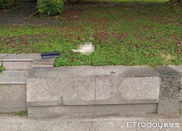 ▲板橋「7貓遺體」嫌犯非法繁殖賣貓　住處還搜出獸醫用藥。（圖／新北市政府動物保護防疫處）
