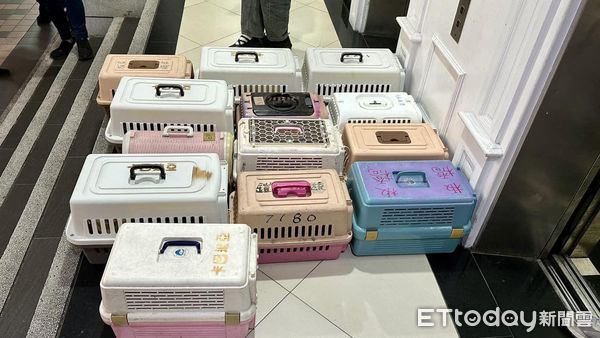 ▲板橋「7貓遺體」嫌犯非法繁殖賣貓　住處還搜出獸醫用藥。（圖／邵柏森-虎哥救援大小事）
