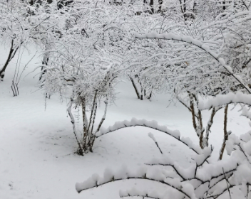 ▲▼濟南大暴雪，20小時內下387個大明湖。（圖／翻攝自微博）
