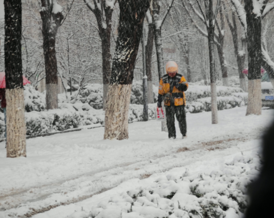 ▲▼濟南大暴雪，20小時內下387個大明湖。（圖／翻攝自微博）