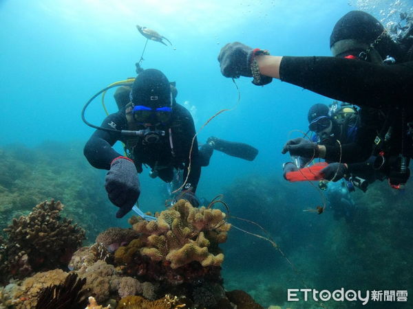 ▲台東「淨海聯盟」保育海洋成效卓越清除3,811公斤海廢。（圖／記者楊漢聲翻攝）