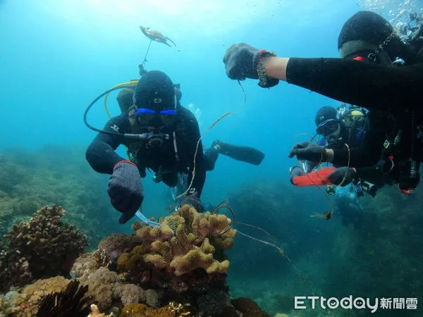 ▲台東「淨海聯盟」保育海洋成效卓越清除3,811公斤海廢。（圖／記者楊漢聲翻攝）