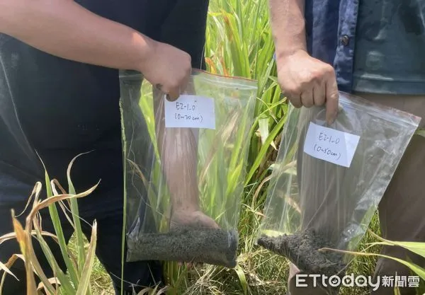 ▲雲林縣政府推動「低碳循環農業」，透過利用畜禽養殖再生水驗證對鹽化土地的復育潛力，促進土壤健康及地力回復。（圖／記者游瓊華翻攝）