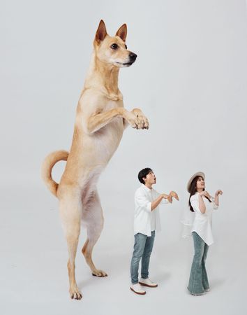 ▲孫協志夏宇童結婚了。（圖／翻攝自孫協志臉書）