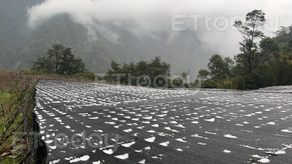 ▲冰雹。（圖／記者李陳信得攝）