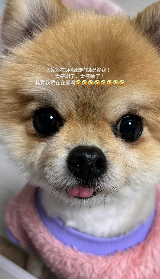 ▲▼邊荷律。（圖／翻攝自Instagram／yuling34）