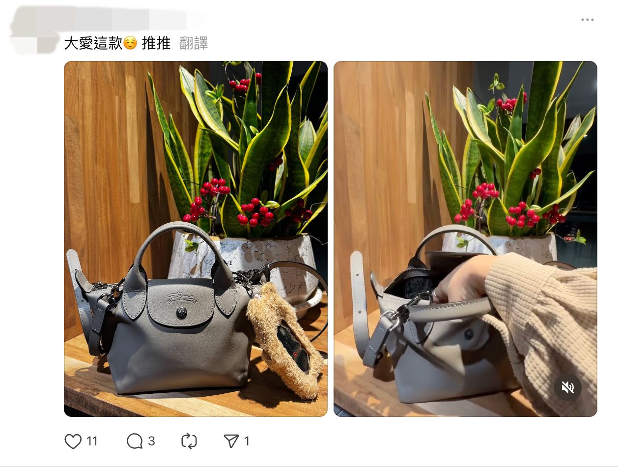 ▲longchamp。（圖／翻攝threads）