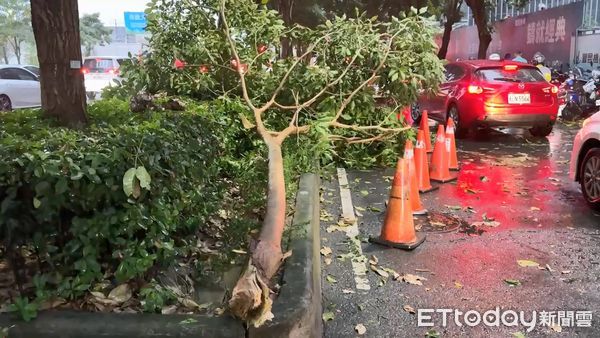 ▲▼             。（圖／民眾提供）