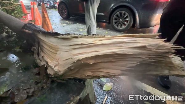 ▲▼             。（圖／民眾提供）