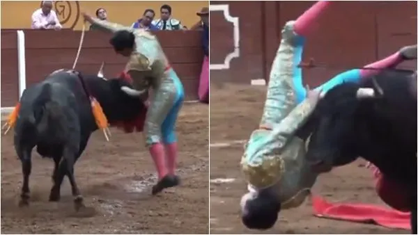 ▲▼絕地反攻！鬥牛士遭「牛角爆菊」頂上天　驚悚畫面曝光　。（圖／翻攝X）