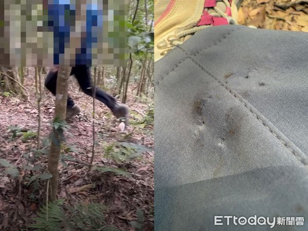 ▲▼登山突遭鼬獾攻擊畫面曝！男山友被咬住不放　網驚：這隻有狂犬病。（圖／民眾張小姐授權提供）