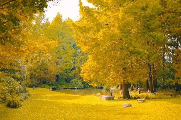 ▲▼慎重開華莊園。（圖／部落客黑皮的旅遊筆記授權提供）