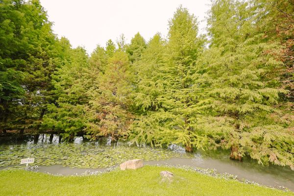 ▲▼慎重開華莊園。（圖／部落客黑皮的旅遊筆記授權提供）