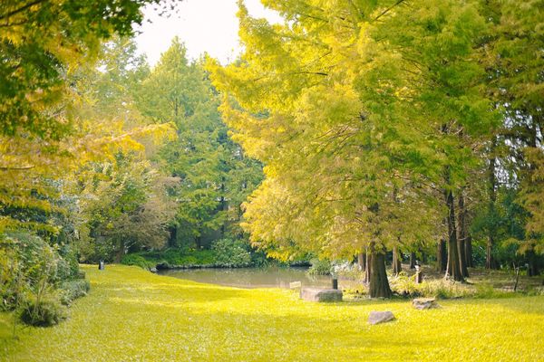 ▲▼慎重開華莊園。（圖／部落客黑皮的旅遊筆記授權提供）