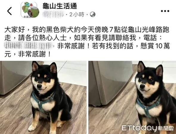 ▲高男為找尋愛犬在臉書社團懸賞10萬元。（圖／記者楊熾興翻攝）