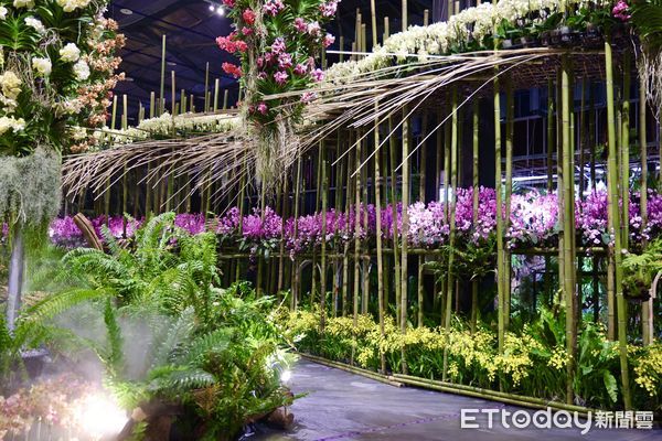 ▲台南市政府5日上午在後壁區台灣蘭花生物科技園區舉行宣傳記者會，台南市長黃偉哲等人皆親臨現場，還有人氣女團EighRA（紫月光）站台，為即將到來的蘭展注入青春活力。（圖／記者林東良翻攝，下同）