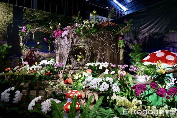 ▲台南市政府5日上午在後壁區台灣蘭花生物科技園區舉行宣傳記者會，台南市長黃偉哲等人皆親臨現場，還有人氣女團EighRA（紫月光）站台，為即將到來的蘭展注入青春活力。（圖／記者林東良翻攝，下同）