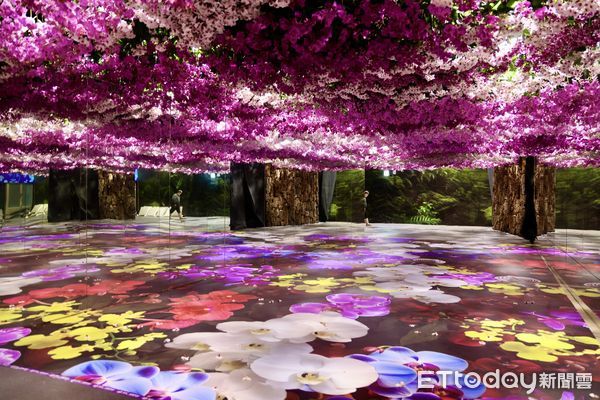 ▲台南市政府5日上午在後壁區台灣蘭花生物科技園區舉行宣傳記者會，台南市長黃偉哲等人皆親臨現場，還有人氣女團EighRA（紫月光）站台，為即將到來的蘭展注入青春活力。（圖／記者林東良翻攝，下同）