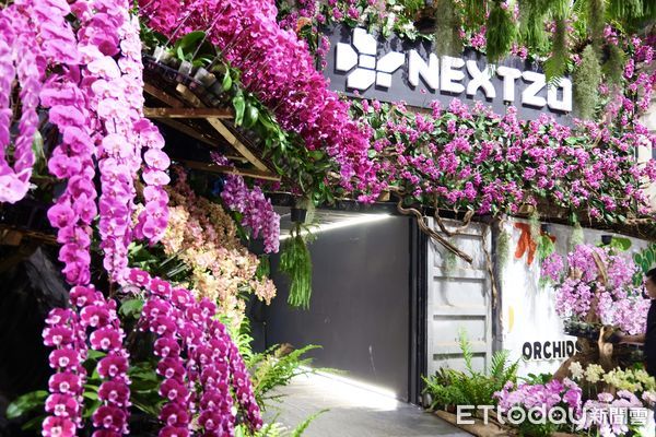 ▲台南市政府5日上午在後壁區台灣蘭花生物科技園區舉行宣傳記者會，台南市長黃偉哲等人皆親臨現場，還有人氣女團EighRA（紫月光）站台，為即將到來的蘭展注入青春活力。（圖／記者林東良翻攝，下同）