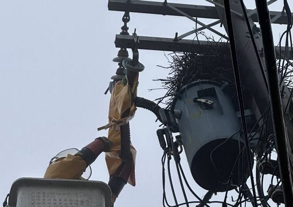 ▲台電桃園區處「驚蟄宣誓大會」