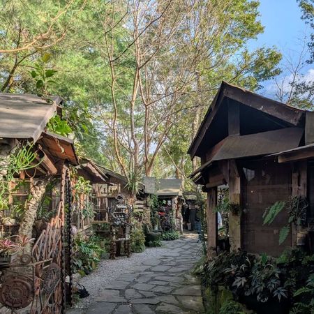 ▲▼精選阿里山特色景觀餐廳。（圖／ReadyGo提供）