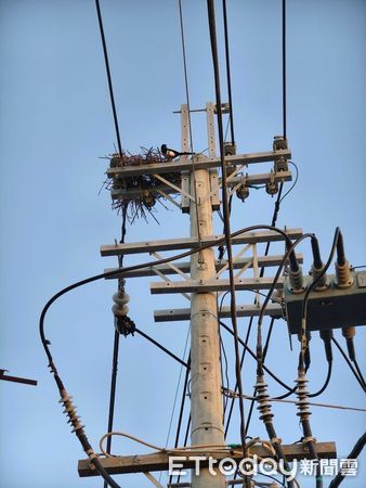 ▲台南區處舉辦誓師大會，動員自營工班及承攬商人力共109人、大型機具及車輛共46輛投入穩定供電行動，強化設備系統韌性，讓民眾瞭解台電穩定供電的決心。（圖／記者林東良翻攝，下同）