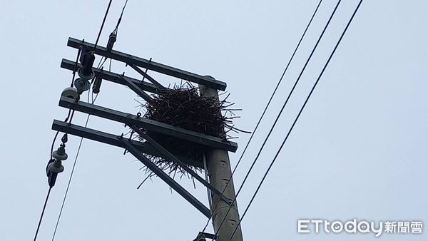 ▲台南區處舉辦誓師大會，動員自營工班及承攬商人力共109人、大型機具及車輛共46輛投入穩定供電行動，強化設備系統韌性，讓民眾瞭解台電穩定供電的決心。（圖／記者林東良翻攝，下同）