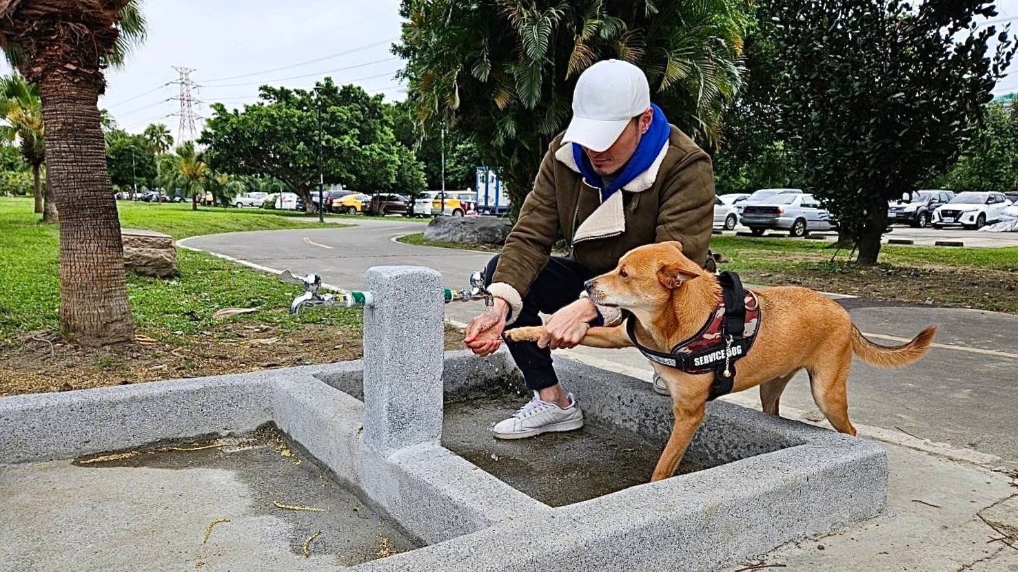 ▲永和綠寶石寵物公園圍籬全面翻新。（圖／新北市高灘處提供）