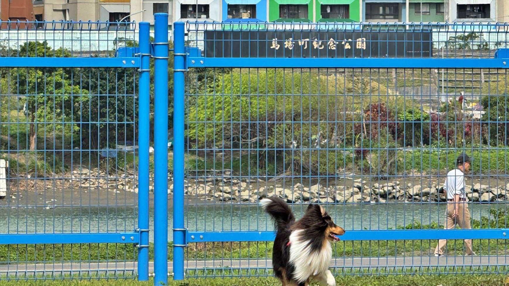 ▲永和綠寶石寵物公園圍籬全面翻新。（圖／新北市高灘處提供）