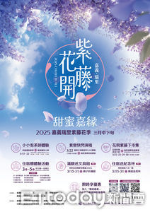 嘉義瑞里紫藤花季3月下旬登場 紫色山城浪漫再現