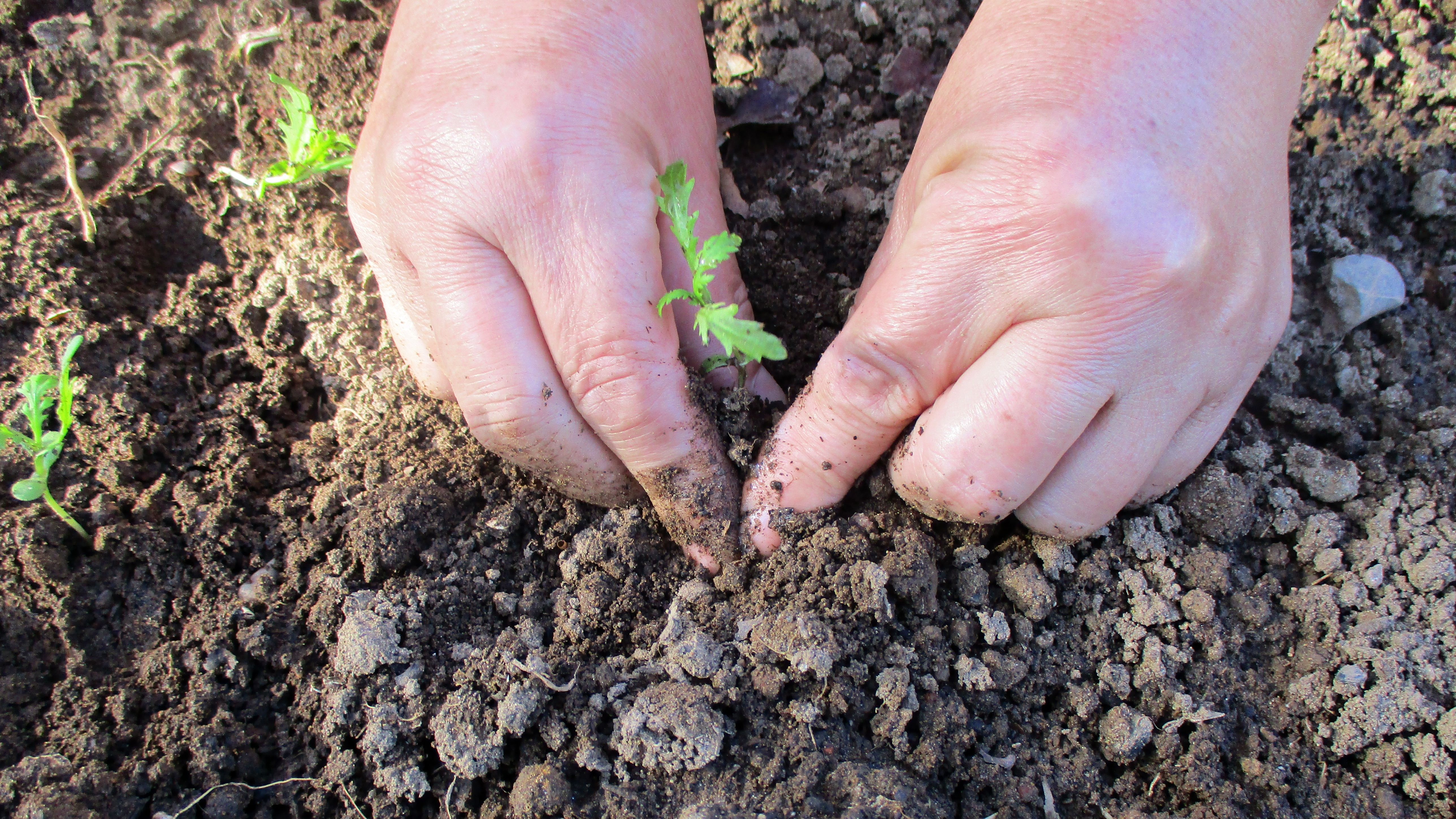 ▲新北大鵬國小攝影展登場。（圖／新北市大鵬國小提供）