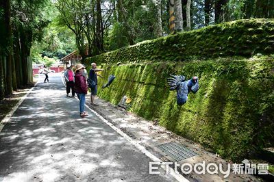 阿里山國家森林遊樂區主幹道優化　結合地景動線美化