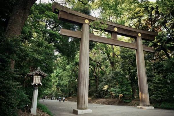 ▲KKday以熱門目的地日本、韓國、泰國推出迷你團商品。（圖／KKday提供）