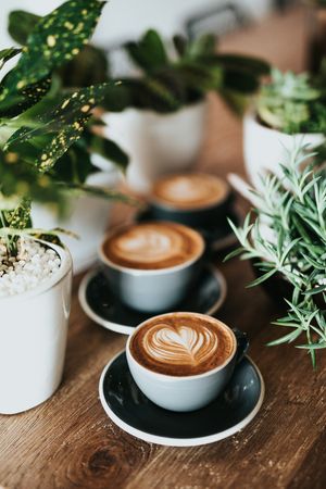 ▲▼「6個方法」教你養成早睡習慣。（圖／Unsplash）