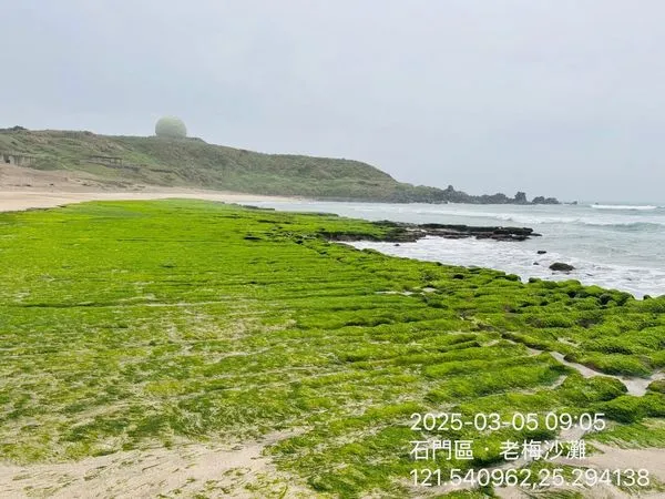 ▲石門「老梅石槽」綠了6成。（圖／北觀處提供）