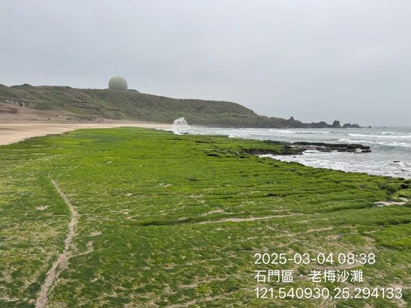 ▲石門「老梅石槽」綠了6成。（圖／北觀處提供）