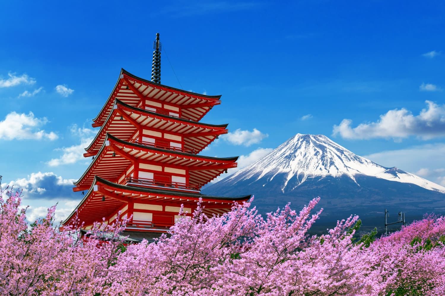 安達產險,旅平險,旅遊保險,出國投保,法定傳染病,急難救助,意外事故,海外就醫（圖／業者提供）