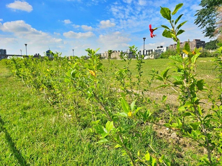 ▲新北三鶯水資中心變身2.0。（圖／新北市水利局提供）