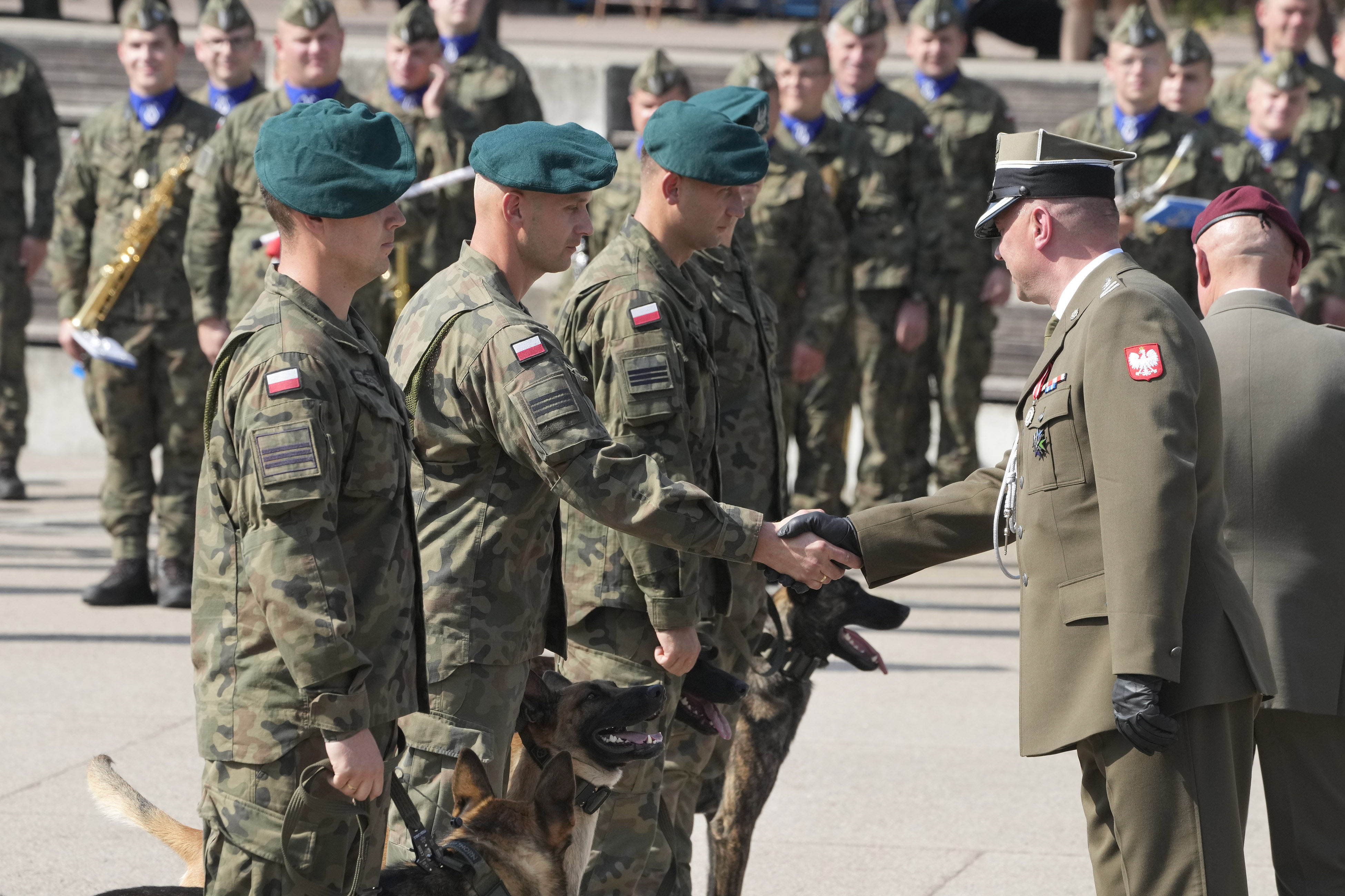 ▲▼波蘭研擬要求所有成年男性接受軍事訓練。圖為波蘭軍犬與訓練員。（圖／達志影像／美聯社）