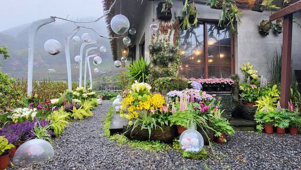 ▲竹子湖海芋各大農園打卡點。（圖／台北市農會提供）