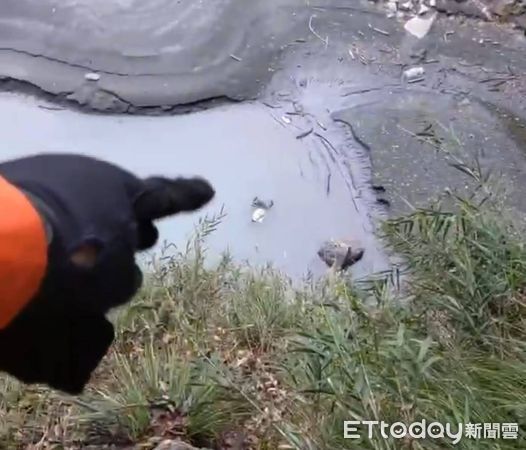 ▲▼             。（圖／記者李陳信得攝）