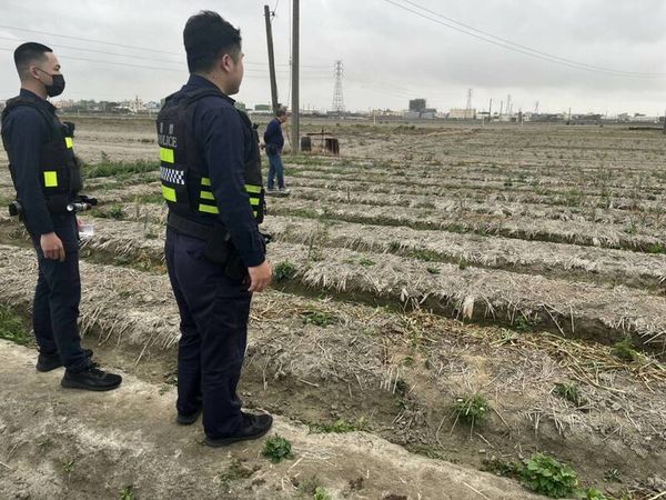 ▲彰化伸港鄉紅蒜進入採收期，警方啟動護蒜專案。（圖／警方提供 賴清美提供）