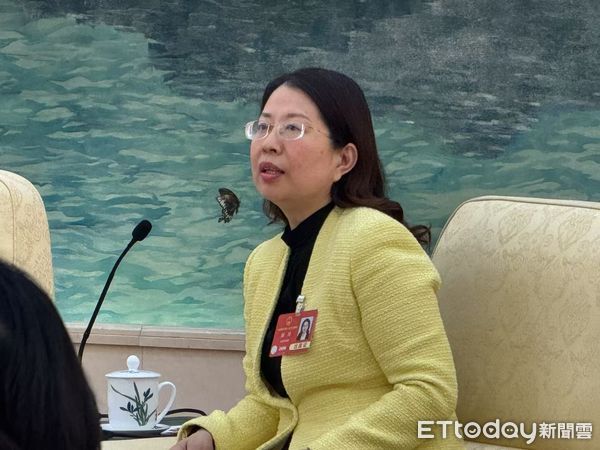 ▲▼ 2025兩會、台灣團全國兩會人大代表            。（圖／記者任以芳攝）