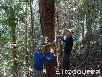林業保育署屏東分署招募監測志工　即日起報名至3／31中午止